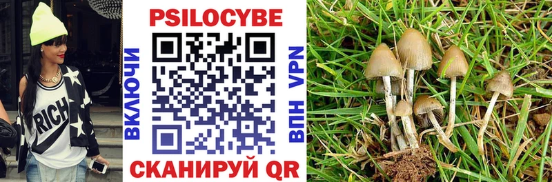 Галлюциногенные грибы Psilocybe  Бахчисарай 